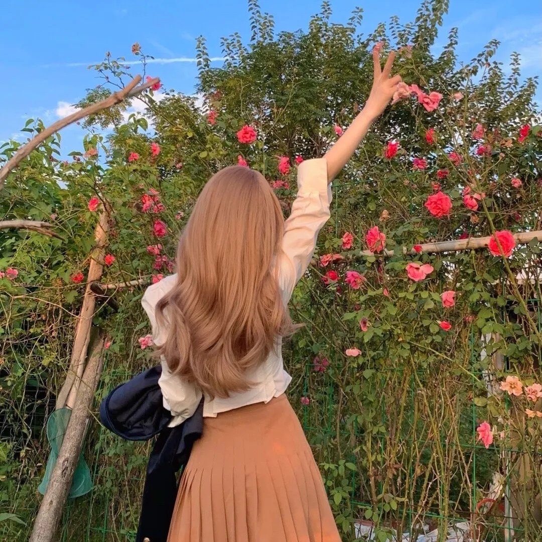 鲤氏侦探事务所国语